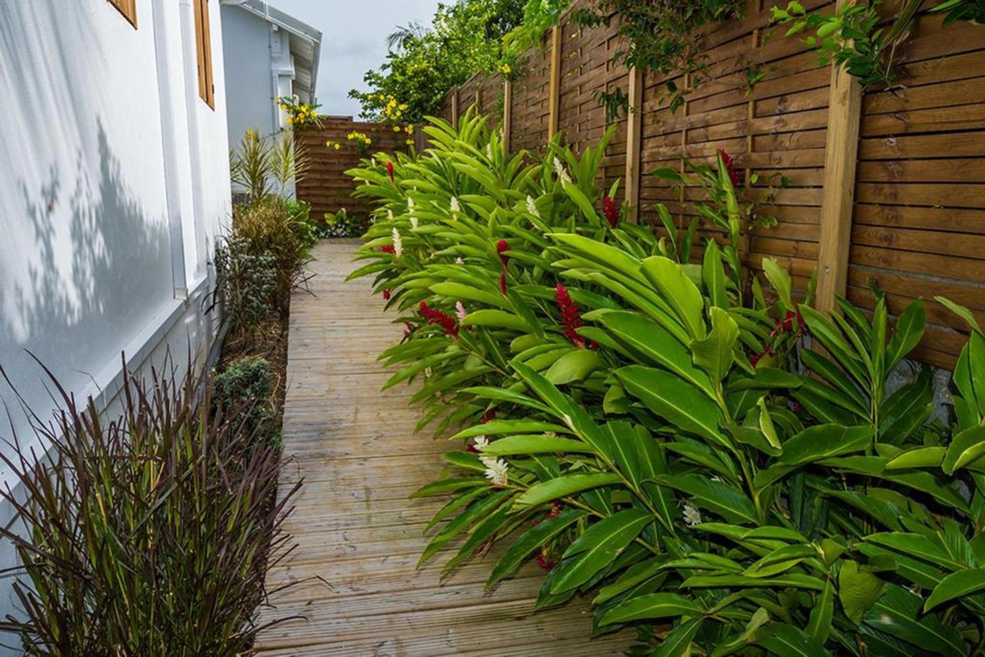 Maison Cosy Avec Jardin A Anse-Bertrand Vila Exterior foto